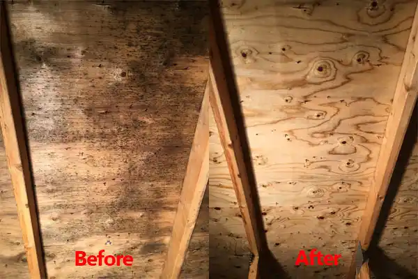 water damage restoration service Rogers